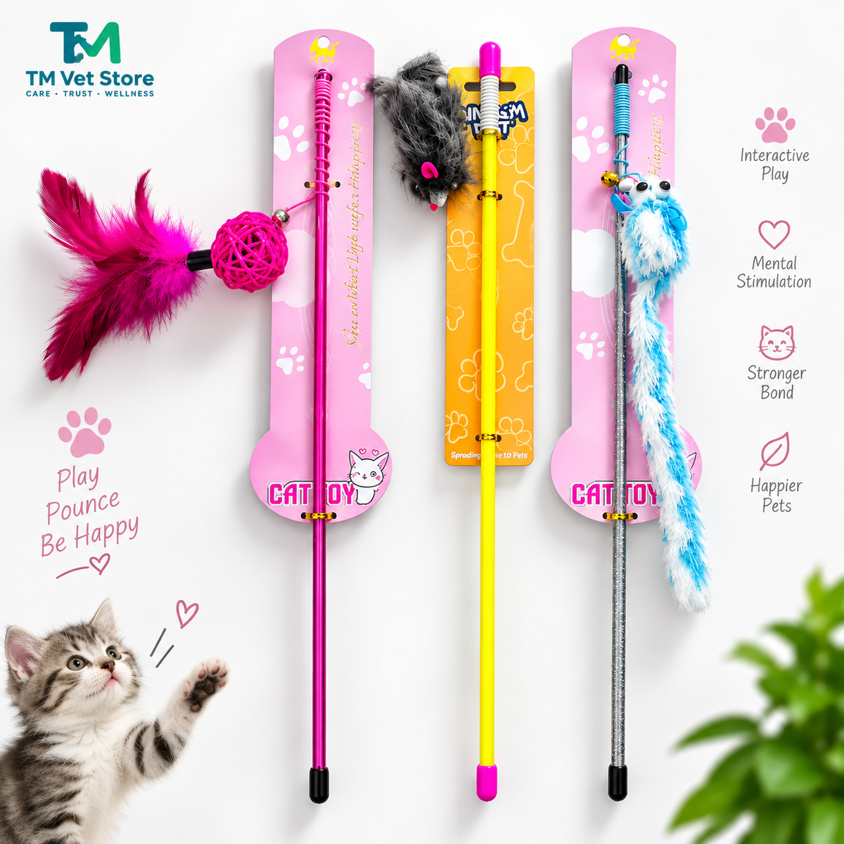Cat Teaser Toys