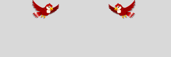 Bird Food