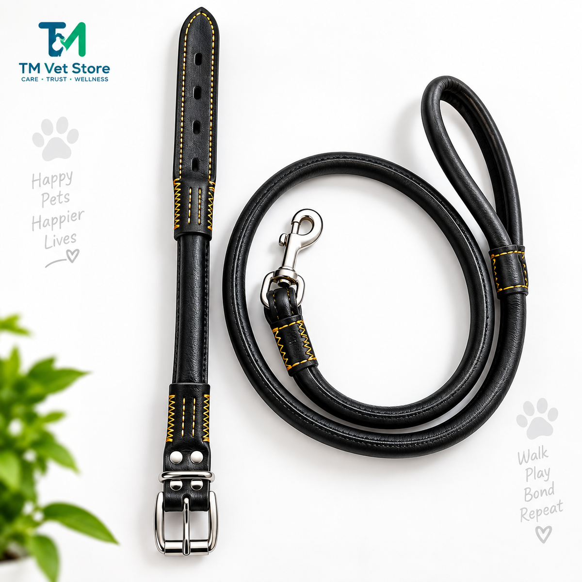 Premium Leather Dog Collar & Leash Set