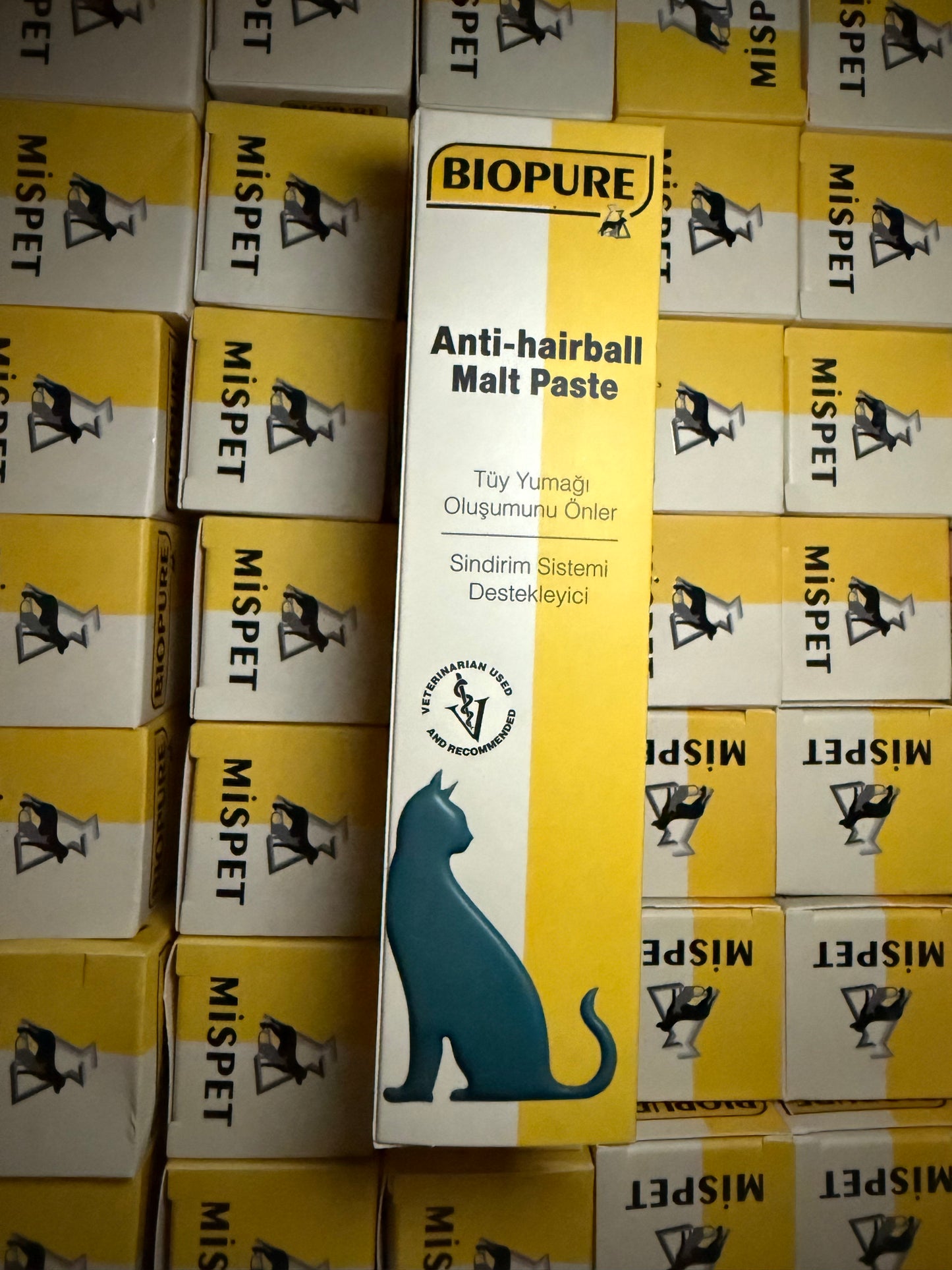 Anti-hairball Malt Paste