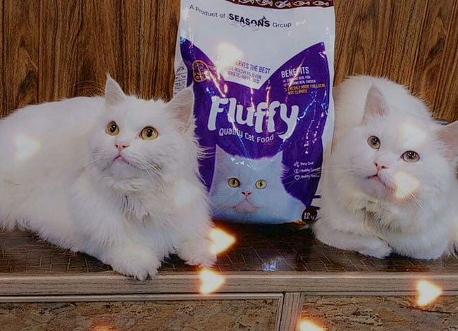 Fluffy Cat Food 1.2Kg
